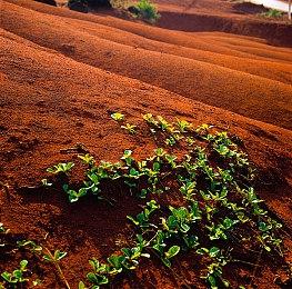 SE股价持续下跌 投资人担忧品控和开发结构